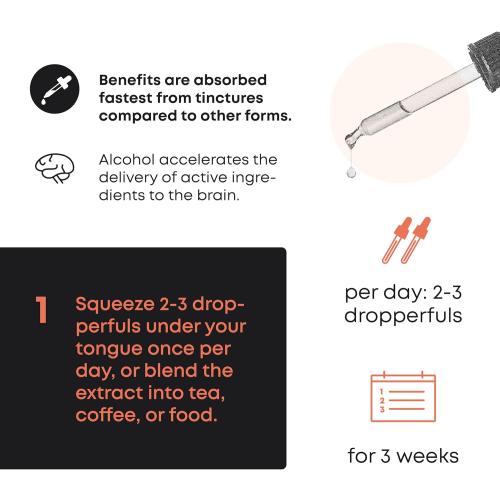 Reishi Mushroom Extract Liquid - Double Extracted Reishi Extract from Reishi Mushrooms. Reishi Mushroom Supplement, Reishi Tincture, Drops for Reishi Mushroom Tea (1 fl oz)