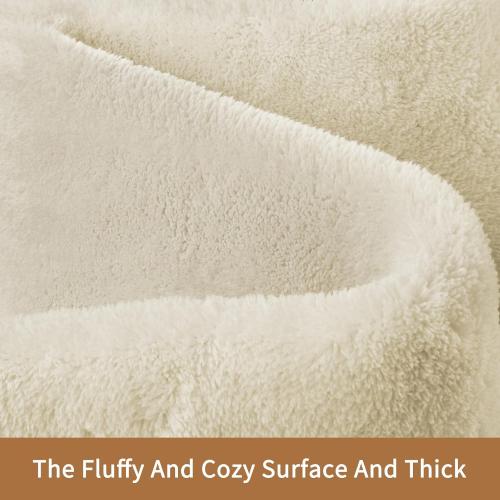 Sour Lemon 8x10 Area Rugs for Living Room, Soft Large Area Rug Fluffy Rugs for Bedroom，Machine Washable Area Rug Non Slip Carpet Rug for Living Room Playroom Kids Room Home Decor