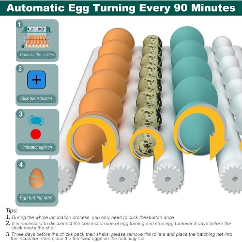 Incubators for Hatching 36 Eggs with Automatic Egg Turning and Humidity Monitoring - 4 Automatic Incubation Modes for Chicken Duck Goose Pigeon