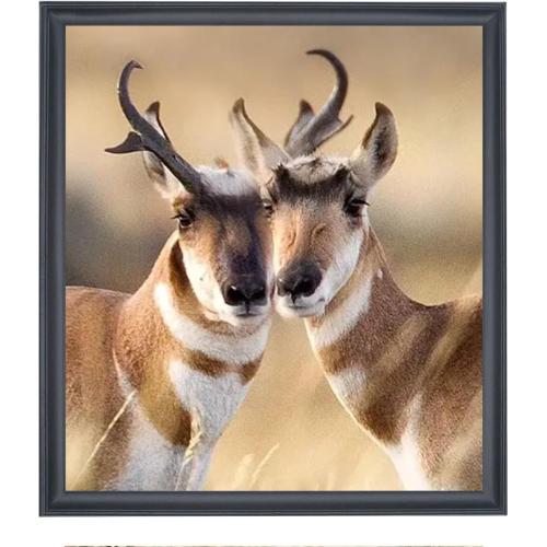 21x24 inch Poster Frame Solid Wood Black, Wall Hanging Picture Frame 21x24 Photo Frame (F23B2124)