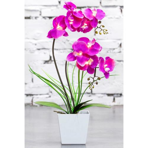 HOMESEASONS Orchid Lamp-LED Lighted Orchid Arrangements,Pre Lit Artificial Orchid,Light Up Flower Lights, Faux Orchid Phalaenopsis Arrangement (Purple)