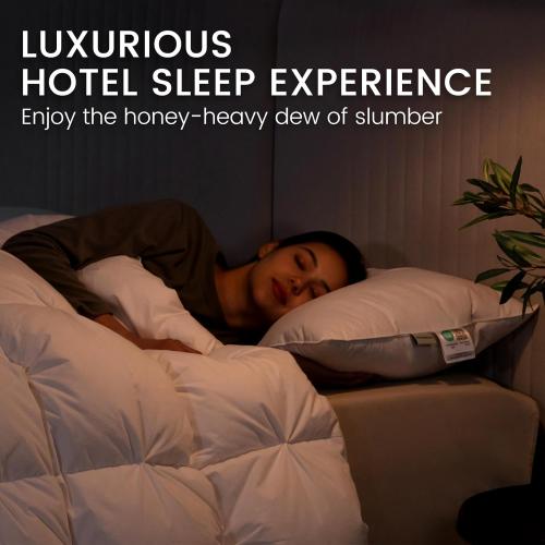 A Size Set of 2, Hotel Collection Fluffy sofa Pillows for Sleeping, 100% Cotton Cover Soft Pillow 22x22 2 Pack