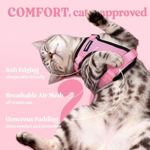 Size XS rabbitgoo Cat Harness and Leash for Walking, Escape Proof Soft Adjustable Vest Harnesses for Cats, Easy Control Breathable Reflective Strips Jacket, Pink