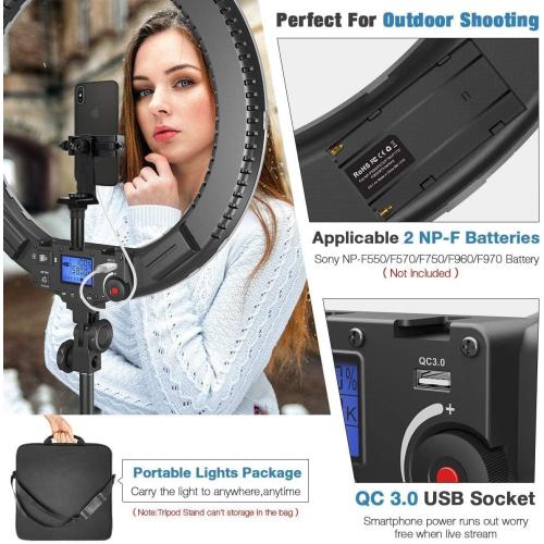 19 inch Ring Light with Remote Controller and Stand iPad Holder,60W Bi-Color with 4 Color Soft Filters for Live Stream/Makeup/YouTube Video/TikTok/Zoom/Photography