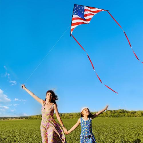 Large Delta Kite for Kids & Adults - Easy to Fly Outdoor Kites for Kids Ages 8-10, Perfect for Beach & Family Activities, Includes Line & Handle