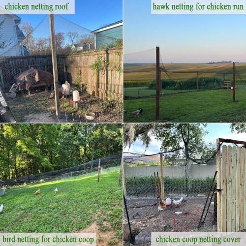 Bird Netting for Chicken Coop 50x100 Ft, 1 Mesh, Strong Woven Poultry Netting Roof Cover for Chicken Run, Heavy Duty Bird Net for Fruit Trees, Blueberry, Vegetables, Garden Protection