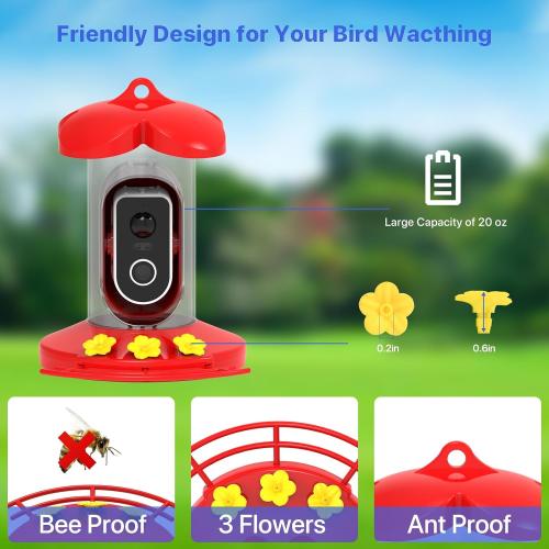 Hummingbird Feeder with Camera for Outdoor - 2K QHD Video, Instant Notifications & AI Bird Species, Ant Moat, Bee Proof, Motion Detection, 2.4G WiFi, Signal Booster, Gift for Bird Lovers (Red)