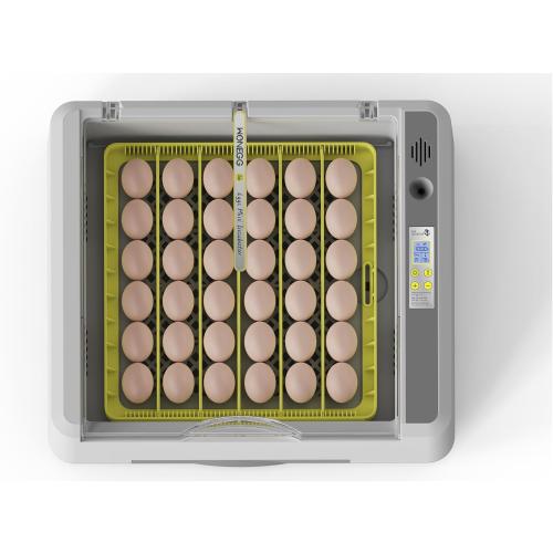 Egg Incubator for Hatching Chicks, 36 Eggs Automatic Turner with Temperature & Humidity Control, Multifunctional Ultra-Clear Panoramic View with Hatch Days & Egg Candler for Chicken, Duck, Goose, Bird