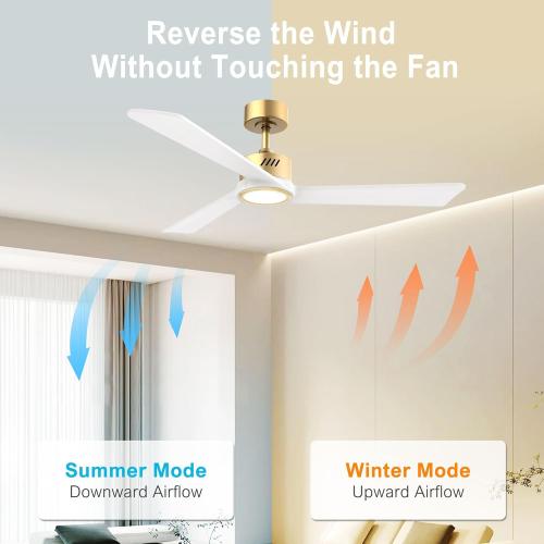DAMINY Natural Solid Wood White and Gold 52 inch Ceiling Fan with Light,3 Blades,6CCT,Low Profile Ceiling Fan with Light and Remote Control