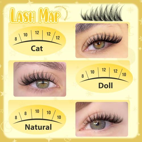 Lash Clusters Natural Eyelash Clusters 8-12MM Wispy Lash Extensions C Curve Individual Lashes Clear Band Cluster Lashes Clean Makeup DIY Lash Pack (Short Ver.)