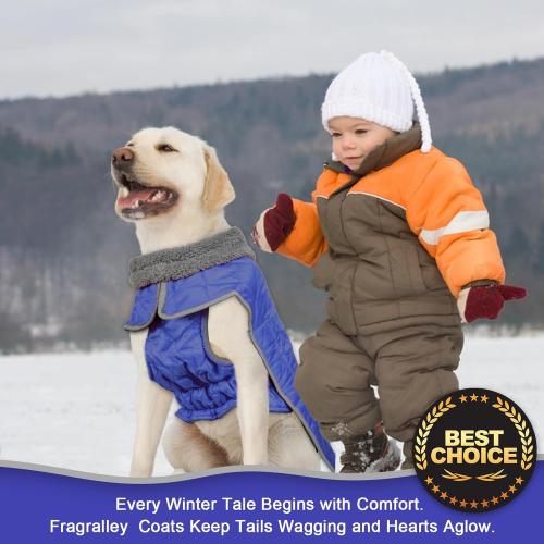 Fragralley Dog Medium Winter Coat, Waterproof Windproof Reflective Fleece Jacket with Harness Hole, Warm Snow Vest for Small Medium Large Dogs​, Ideal Gifts