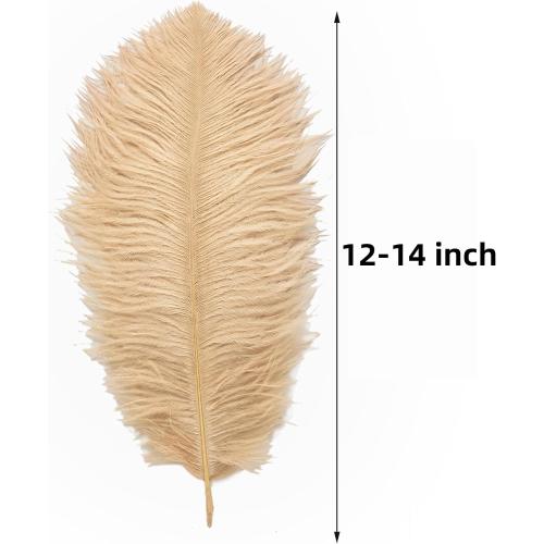 Ballinger Large Champagne Ostrich Feathers - 24pcs 12-14inch Boho Feathers for Vase and Home Decor Wedding Party Centerpieces