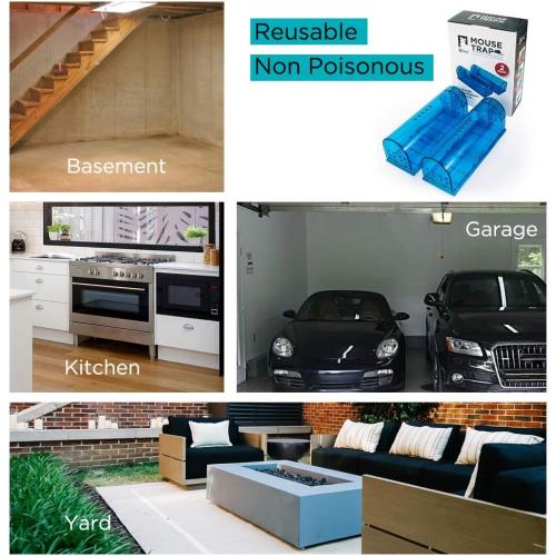 Humane Mouse Trap | Catch and Release Mouse Traps That Work | Mice Trap No Kill for mice/Rodent Pet Safe (Dog/Cat) Best Indoor/Outdoor Mousetrap Catcher Non Killer Small Capture Cage (Blue)