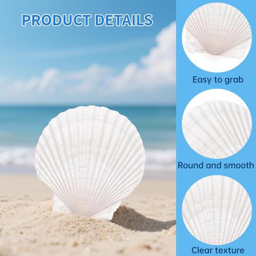20PCS Large Scallop Shells for Crafts, 4-5 Inch Natural Sea Shells for Decorating, White Seashells Bulk for DIY Crafting, Painting, Baking, Ocean Themed Party Supplies & Decorations