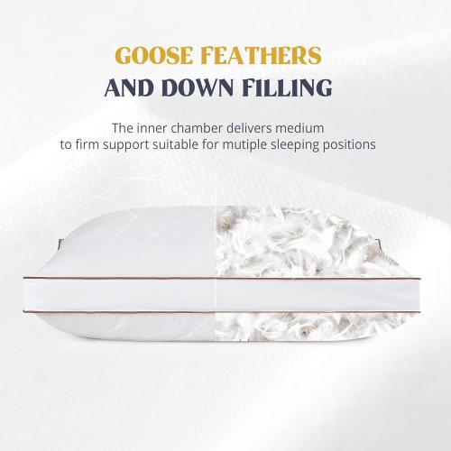 puredown® Goose Feathers and Down Pillow for Sleeping Gusseted Bed Hotel Collection Pillows, Standard, Set of 2