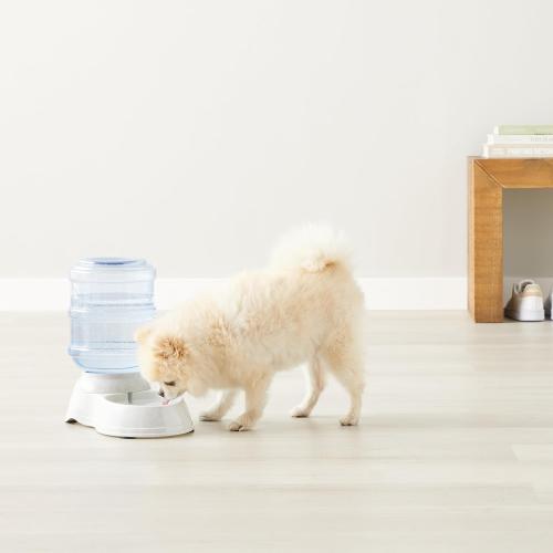 Amazon Basics Gravity Pet Water Dispenser for Cat and Dog, Easy to Clean, 135.3fl.oz Capacity, Small