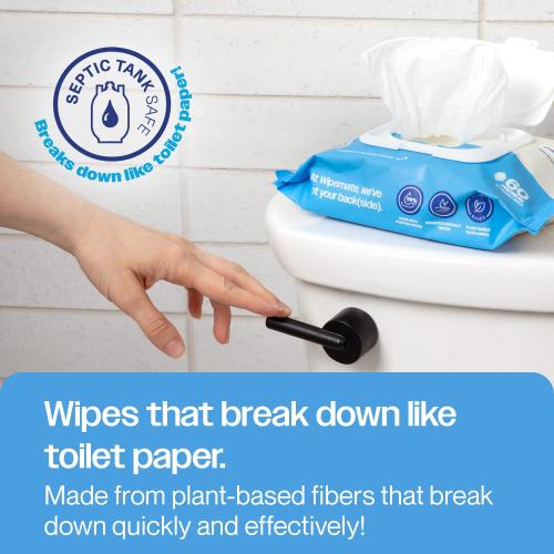 ULTRA Flushable Butt Wipes, Soothing Vitamin E & Aloe, 99% Water, Aloe Vera Scent Premium Super Soft Hygiene Wipes, Septic & Sewer Safe, 3 Premium Flip-Top Packs (180ct)