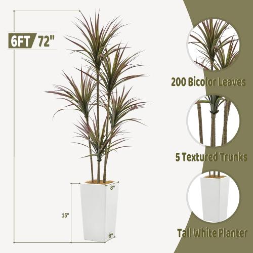 Size 6ft Artificial Dracaena Marginata Bicolor Tree 6FT with 200 Leaves & 5 Heads & White Tall Planter Cover with Coconut Fiber Tall Faux Tropical Yucca Silk Plant for Indoor Home Office Porch Decor