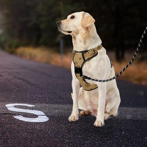 Size XL Color brown IVY&LANE No Pull Dog Harness with Leash Set, Reflective No Choke Pet Vest,Adjustable Oxford Dog Vest Harness with Easy Control Handle for Medium Dogs