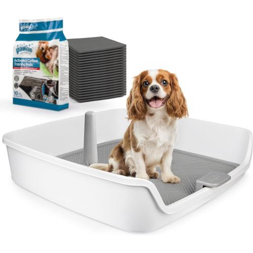 ALL FOR PAWS Dog Pee Pad Holder with Removable Post, 23.6 Indoor Dog Potty Training Tray, Puppy Toilet Litter Box for Small to Medium Sized Dogs