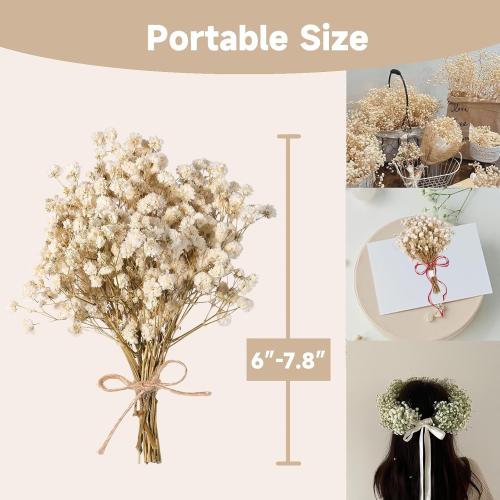 Dried Baby's Breath Bouquet, Pure White 6-7.8 Portable Mini Gypsophila Flowers, 2000  Natural Preserved Flowers for Wedding Home Decor DIY Crafts Vase Filler Wreath Card Making