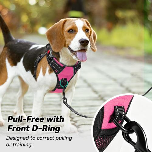 PoyPet No Pull Dog Harness Small with Front Clip & Neck Release Buckle