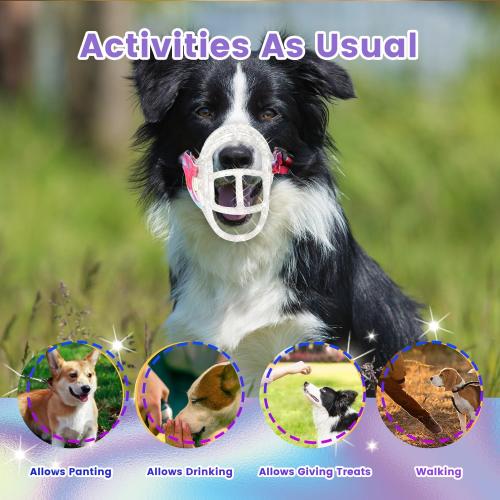 Dog Muzzle, Basket Muzzle Anti Biting Chewing, Sturdy Lightweight Allows Panting Drinking, for Small Medium Large Dogs, Suitable for Grooming Trimming Training (Transparent, Size5)