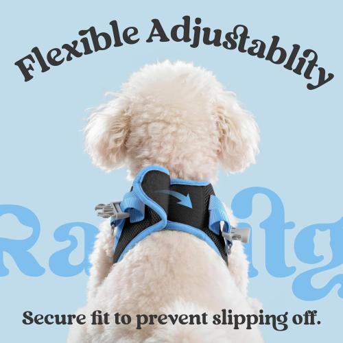 rabbitgoo Dog Harness Small Sized and Leash Set, Step in Soft Vest