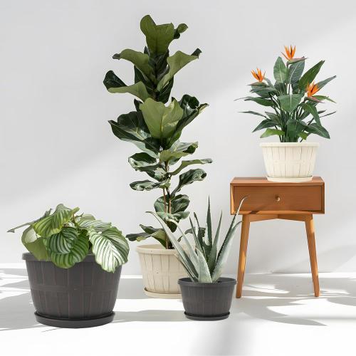 Quarut 10 inch Plastic Flower Pots for Indoor Plants,4 Pack Large Outdoor Planter Pot with Drainage Holes & Saucers,Imitation Wine Barrel Design,for Indoor Outdoor Garden Plants(White)