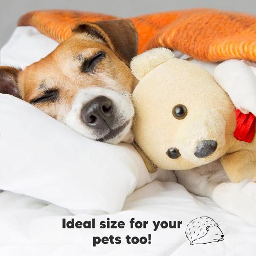 Toddler Pillow with Pillowcase - 13x18 My Little Dreamy Kids Travel Bed Pillows for Sleeping, Organic Cotton Small Pillowcase, Soft & Breathable, Machine Washable, Toddlers 2-5 Years Old (Soft White)