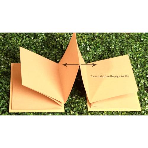 DIY photo album and dried flower embossed decorative plant specimens for accordion creative folding pages (6 * 8), Grey