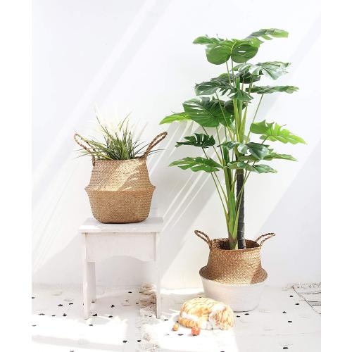 Woven Seagrass Belly Basket for Storage Plant Pot and Laundry, Picnic and Grocery Basket (Medium, Original)