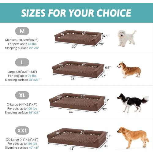 COZY KISS Orthopedic Large Dog Beds, Bolster Pet Couch with Waterproof Lining, Egg Crate Foam Sofa for Pets Up to 65 lbs, U-Shaped, 36x27x6.5 inch, Brown