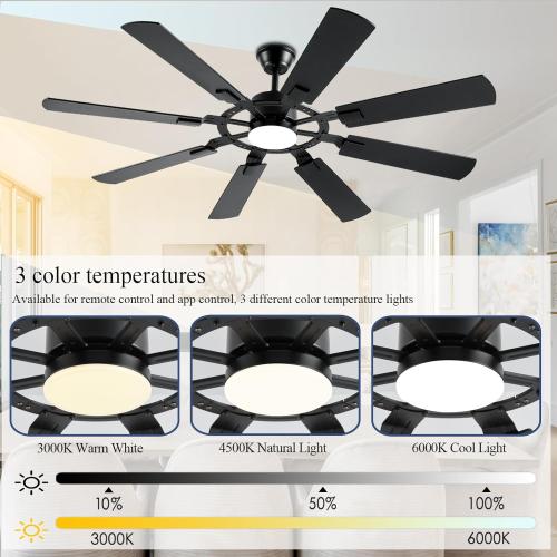 62 Inch Ceiling Fans with Lights, Large Low Profile Ceiling Fan with Remote Control, 8 Double Sided Blades, 6 Speed Reversible DC Motor, Silent Timing, Black Indoor Outdoor Ceiling Fan