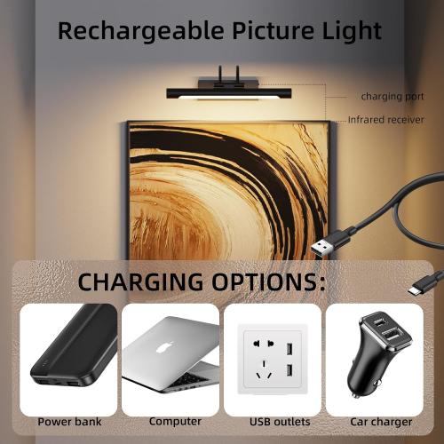 Picture Light,Wireless Rechargeable Gallery Light with Remote,5000mAh Dimmable Painting Rechargeable Picture Lights for Wall,12 inch Metal Picture Lights for Art,Paintings,Mirror,Black