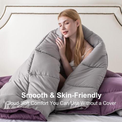 KASENTEX Queen Comforter Set – Reversible Dual Color – Goose Down Alternative – Ultra-Soft, Lightweight, Machine Washable, Maintain Fluffiness, All Season Warmth (Grape Jam/Gull)