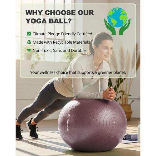 Trideer Yoga Ball – Anti-Burst Exercise Ball for Pregnancy, Office, Birthing, Stretching & Core Workout – Home Gym & Therapy