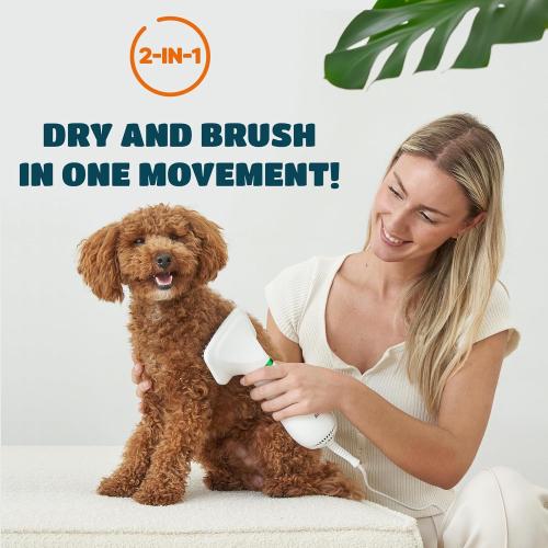 2-in-1 Dog Hair Dryer with Slicker Brush for Small-Sized Dogs