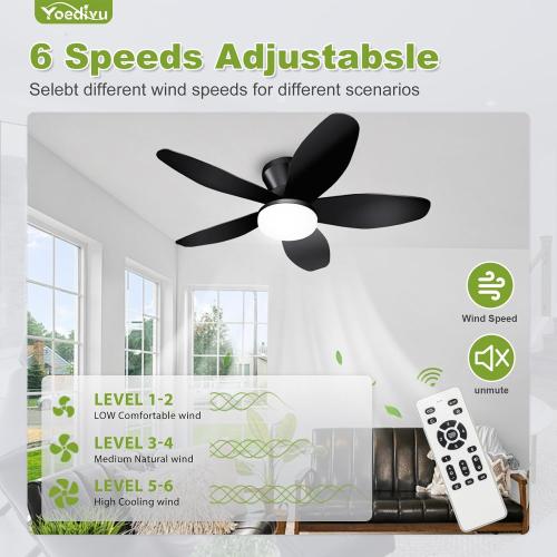 Ceiling Fans with Lights - 35 Inch Small Low Profile Ceiling Fan and Remote,Flush Mount Ceiling Fan with 5 Reversible Blades 6 Wind Speeds, Black Modern Ceiling Fans for Bedroom Kitchen