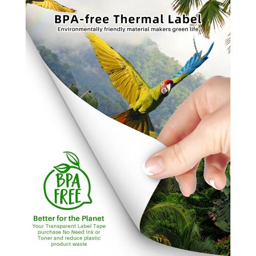 Phomemo Thermal Printer Paper 8.5 x 11 Inch, Advanced Thermal Printing, Phomemo Paper Compatible with M08F-Letter, M832, M834, A285M, with Brother Letter Portable Printer, Size 8.5 x 11, 100 Sheets