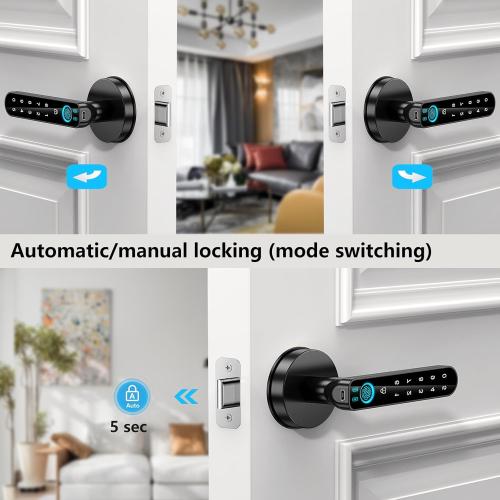 Fingerprint Door Lock- Smart Door knob,biometric Door Lock，with passcode keypad keyless Entry Door Handle，for Bedroom Home Hotel Office Apartment (Black with APP)