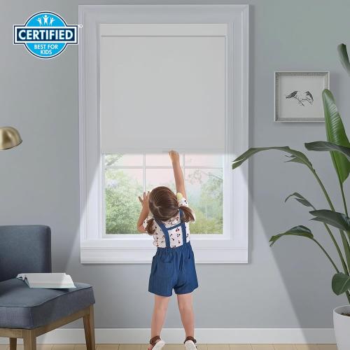 Persilux Cordless Blackout Roller Shades for Windows, Pull Down Blinds With Valance, Thermal Insulated Fabric, UV Protection for Home and Bedroom (White, 41 W x 72 H)