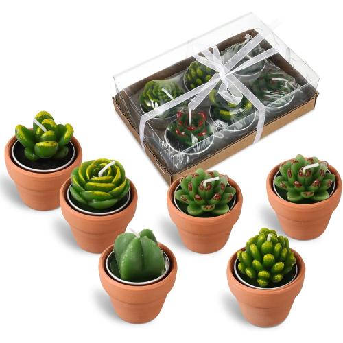Treela 6 Pcs Succulent Candles Decorative Cactus Candles Tealight Candle Novelty Tea Cactus Candle Handmade Baby Shower Home Decorations Plant with Mini Terracotta Clay Holders for Birthday Wedding