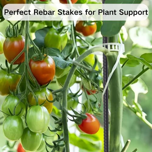 Rebar Stakes 24 Inch 40 Pack Straight Ground Stakes 1/4 Inch Diameter Heavy Duty Metal Spikes with Chisel Point End for Landscape Timber, Cement and Concrete Form, Black