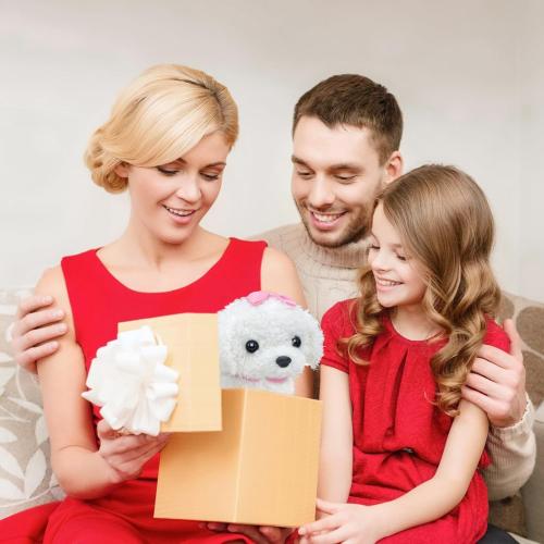 YH YUHUNG Walking and Barking Dog Toys for Kids with Remote Control Leash, Plush Electronic Pets Puppy Interactive Dog That Walk, Bark, Head Nod, Wags Tail(White)