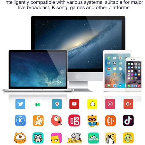 Voice Changer, Portable Mini Voice Changer Device Handheld Sound Card 8 Fixed Sound Effects Plug and Play, Gaming Recording, for Mobile Phone Computer