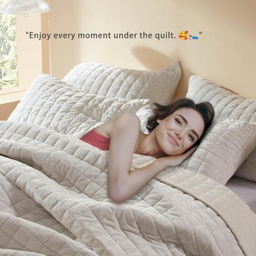 Velvet Quilt Full/Queen Size-90''x98'', Lightweight White Velvet Comforter Set with 2 Pillow Shams, Soft Bedspread Coverlet Quilted Bedding Set for All Season
