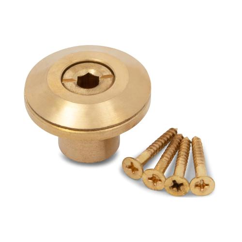 Wood Grip Wood Deck Brass Anchor with Collar for Pool Safety Cover. Universal Replacement for In-ground Swimming Pool Safety Covers and Mesh Covers, kasa Matter