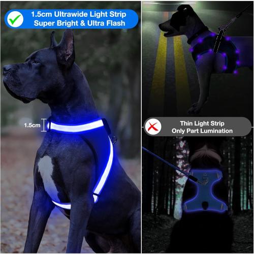 ChalkLit Light Up Dog Harness, No Pull Led Dog Harness Glow-in-The-Dark for Night Walking, USB Rechargeable Lighted Safety Vest for Medium Large Dogs, Adjustable Soft Mesh Fully Illuminated (Blue, L)