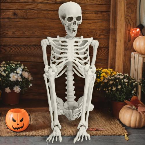 5.4ft Halloween Life Size Skeleton, Posable Halloween Skeleton Life Size Decor, Full Size Skeletons, Outdoor SkeletonHalloween Decorations (White)
